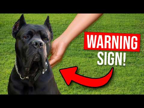 5 Signs Your Dog OWNS You...And How To Fix It!