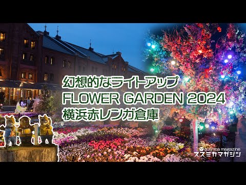  2024 年にラズベリーの吸盤を植えるのに最適な時期はいつですか?春にこれらの低木を移植するにはどうすればよいですか？  庭園