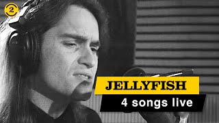 JELLYFISH - Live in 1993 | NEW MISTAKE, THE GHOST AT NUMBER ONE and more live on 2 Meter Sessions