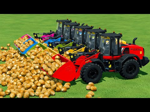LOAD AND TRANSPORT POTATOES WITH NEW HOLLAND LOADERS - Farming Simulator 22
