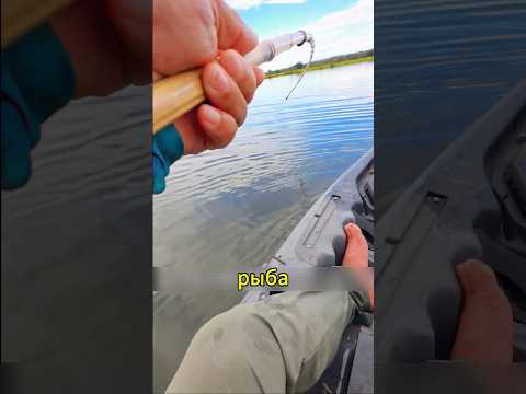 ОН ДУМАЛ, ЧТО ПОЙМАЛ ОБЫЧНУЮ РЫБУ… пока она не потянула КАЯК! 😳🎣