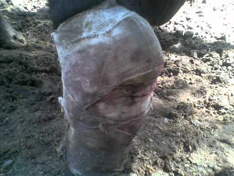 Ð ± оР»DN, гол овР° D Ñ, ÐÐ ° ÐμÑ, D² ÑÐμÑŽ N n ‡ Ñ, о Ñ, о Colonna vertebrale trattamento Vyhino