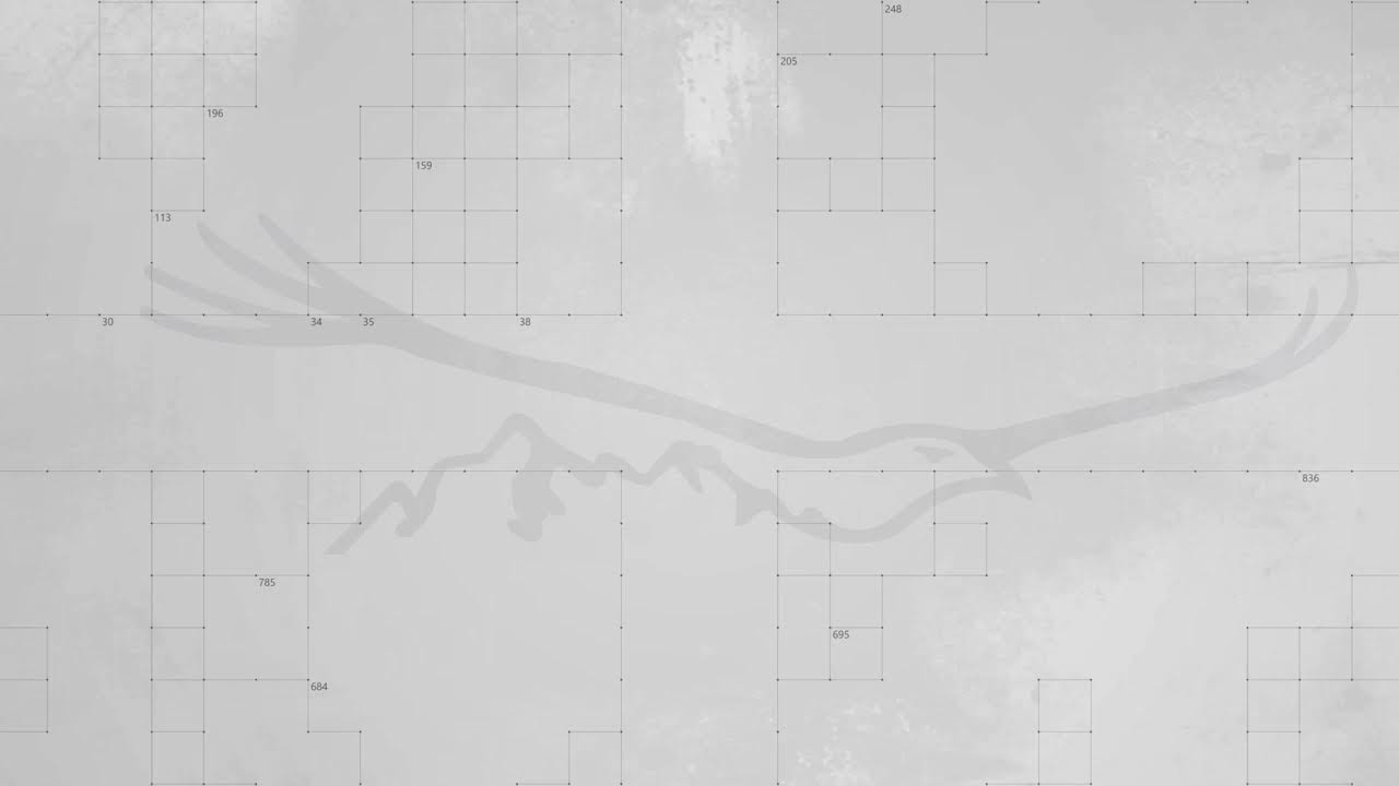 "ინტერაქტივი" - მერაბ ჭიქაშვილთან ერთად