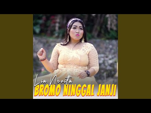 Bromo Ninggal Janji