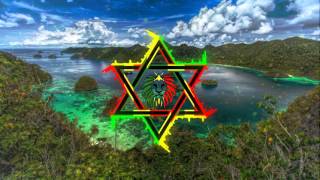 Danakil - True Love [Reggae Vibez] HQ