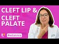 Cleft Lip Cleft Palate Pediatrics Alterations In Health LevelUpRN