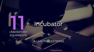 Incubator