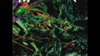 Psychotic Waltz - Mindsong (Hidden Track)