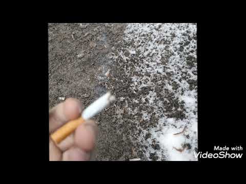 młody raper gadam z moją ex (offcial video)