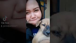 Download lagu DUA ANJING PELIHARAAN TERBARU  CAH OBLO mp3