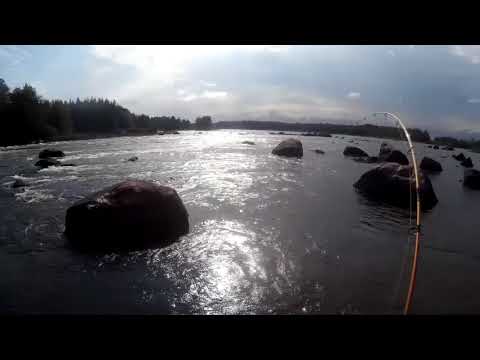 Kymijoki, Ahvionkoski 9.9.2018