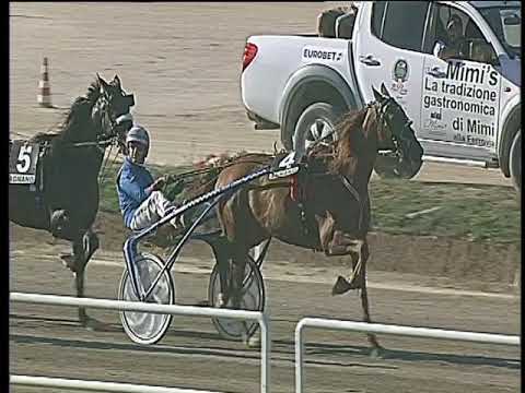 Trotto 17/09/2017 - 5ª corsa