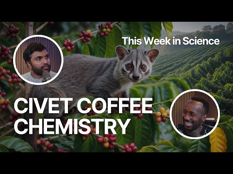 Civet Coffee: The Science of $80 “Biologically Processed” Beans (FFP Story | EP. 16)