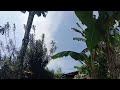 Album Rayola DARAH TARASO BAKU MULANG SAYANG Lagu Minang Terbaru 2025 Viral Tiktok