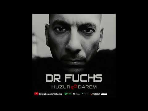 3 Dr Fuchs No Problem ( 2017 )