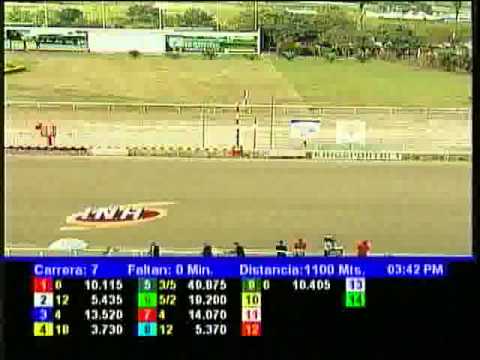 Resumen Sábado, 25 de Enero de 2014 - La Rinconada