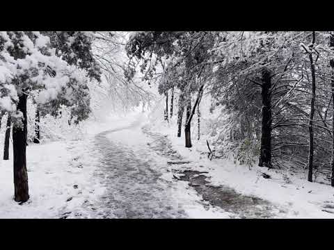 1/1/2021 Norman snow and ice