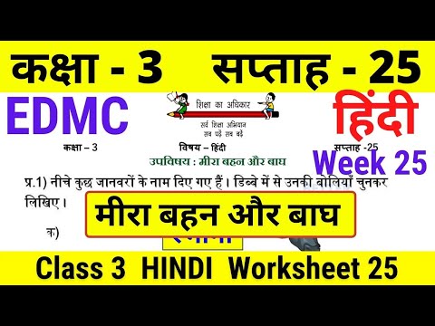 hindi worksheets for class 3 04 2022