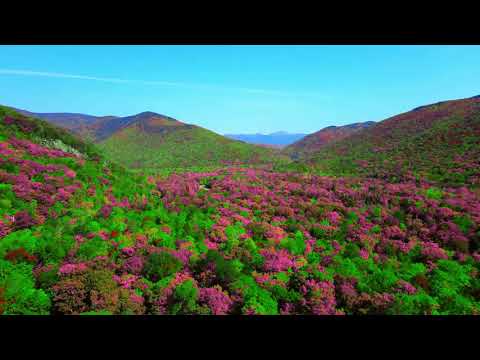 Romantic ballade - Dmitry Metlitsky / lyrical new-age music