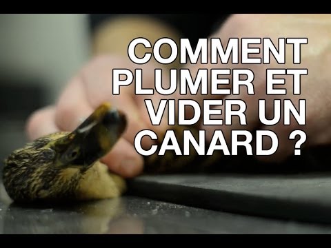 comment nettoyer gesier de canard