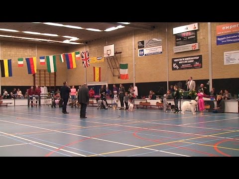 Brabants Rashonden Festival 2016 - Langstraat TV