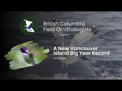 A New Vancouver Island Big Year Record - Liam Ragan