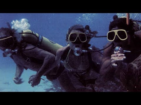 Tintorera ...Tiger Shark (aka Tintorera: Killer Shark) (1977, UK / Mexico) Trailer