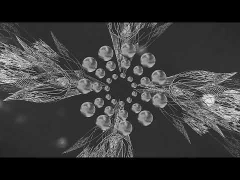 Six Organs of Admittance "Things As They Are" (Official Music Video)