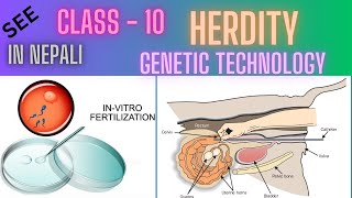 Heredity  Class - 10 (Genetic Technology)   | In Nepali |