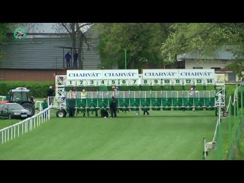 BA 16.4. Dostihy 1 - Cena Vlady