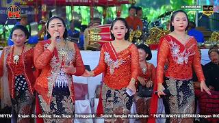 Download lagu Live TAYUB GLERRR SURYO LARAS TRENGGALEK NEWS ||| PT. YAPA SANDY MEDIA KONDANGNYA TAYUB INDONESIA mp3 Download lagu Live TAYUB GLERRR SURYO LARAS TRENGGALEK NEWS ||| PT. YAPA SANDY MEDIA KONDANGNYA TAYUB INDONESIA mp3