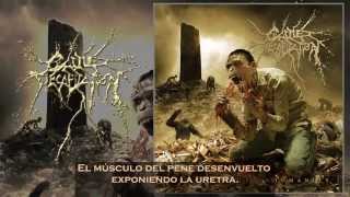 Cattle Decapitation - Forced Gender Reassignment (Subtitulado al español)