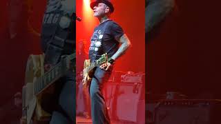 Download lagu Social Distortion - Ring of Fire mp3