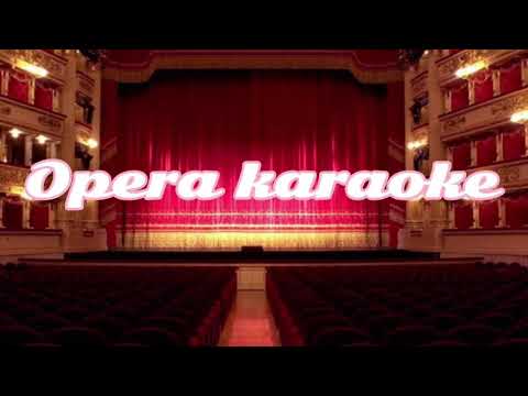 Opera karaoke                                  Di provenza il mar il suol—La Traviata