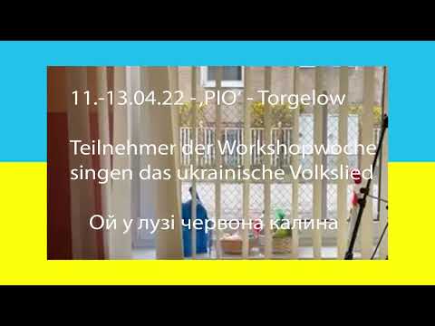 PIO Torgelow "tschernowa kalina" (04/22)
