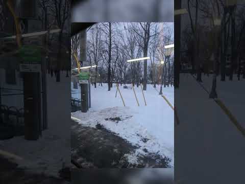 Canadian Winter ❄️🌨️❄️ #snow #coldseason #canada #shortvideo #shorts