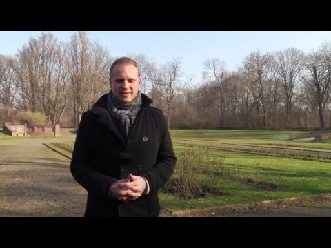 Lezitin die Behandlung der Schuppenflechte Atopitscheski die Hautentzündung bei der Schwangerschaft die Diät
