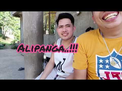 Alipanga 🤣