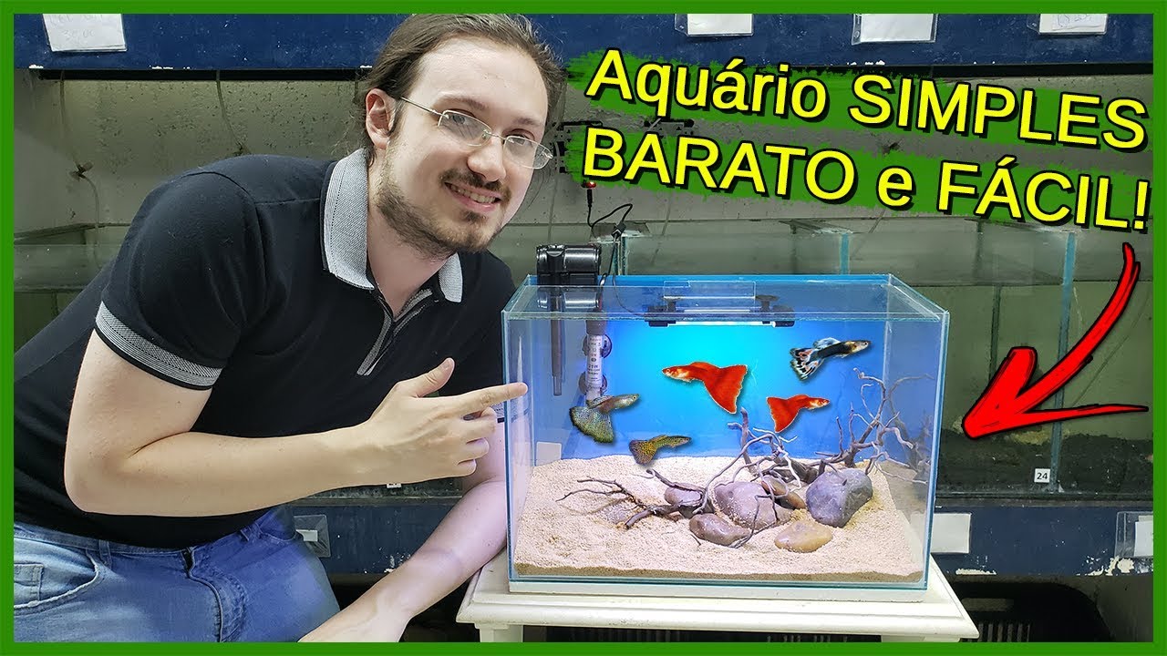 Montando um Aquário SIMPLES e BARATO para INICIANTES!