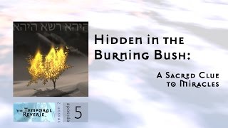Hidden in the Burning Bush: A Sacred Clue to Miracles (season 2, episode 5)