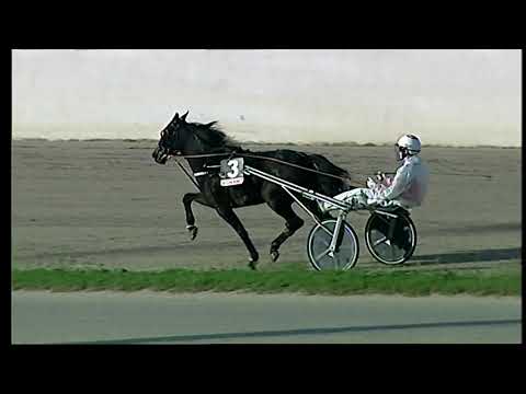 Napoli Trotto 26/11/2021 - 2ª corsa