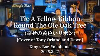 Tie A Yellow Ribbon Round The Ole Oak Tree (幸せの黄色いリボン) @King's Bar in Yokohama, 2025.3.22