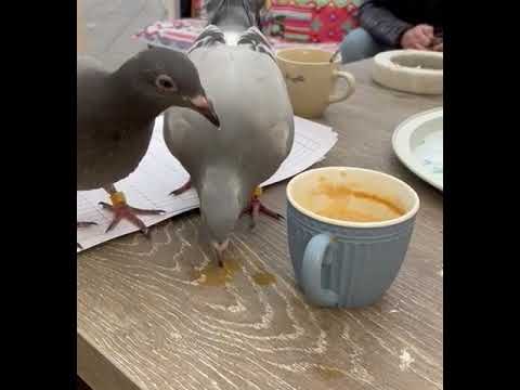 Samen koffie drinken