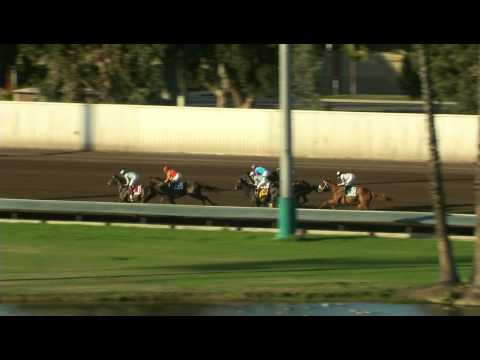 Bayakoa Stakes