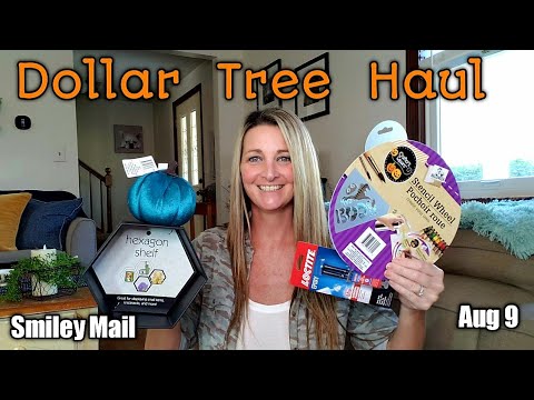 Dollar Tree Haul / All New Items  Aug 9 Video