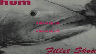 Hum - Formaldehyde (Lyric Video)