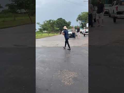 BRITANIA GO - passeio ecologico