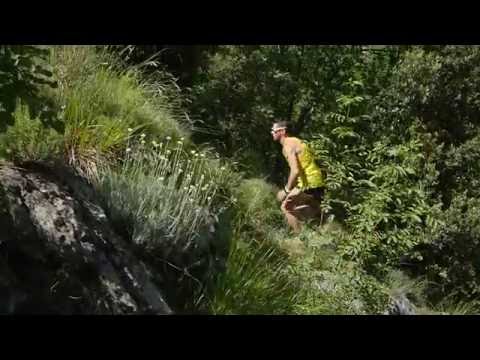 5Hundred+ Vertical Race Promo