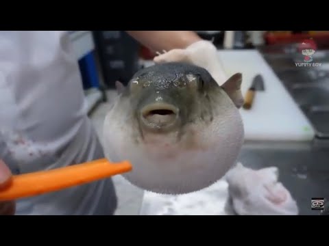 , title : 'Pufferfish eats carrot (full video)