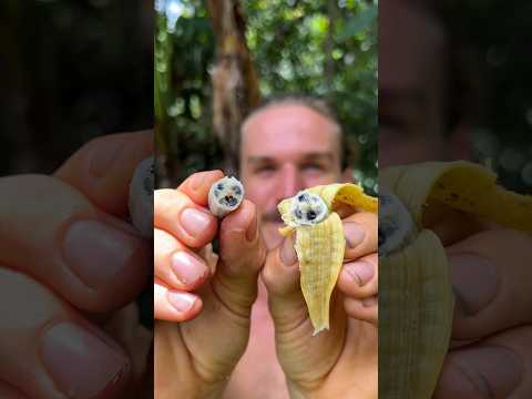 A Real Banana Looks Like This